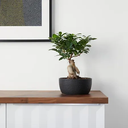 Maria Und Joseph אינסברוק