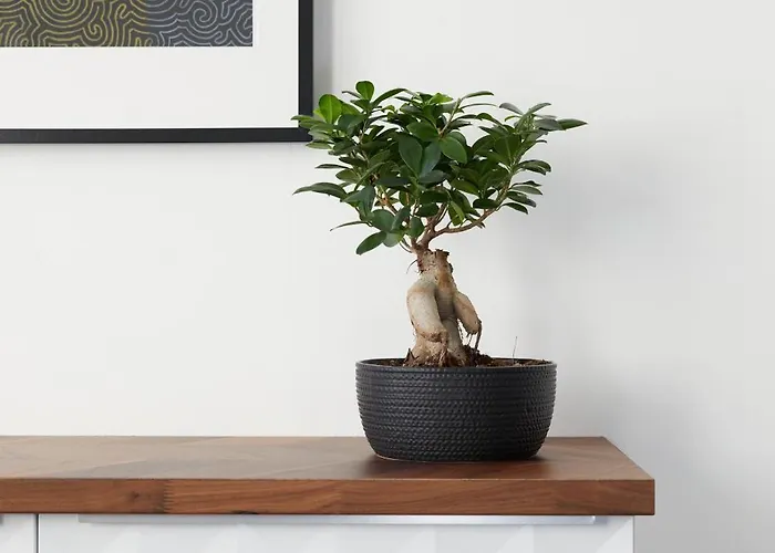 Maria Und Joseph Innsbruck